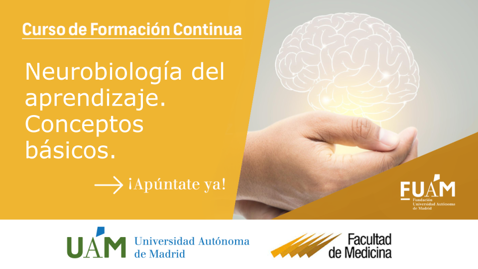 » Neurobiología Del Aprendizaje. Conceptos Básicos. (1ª Edición)